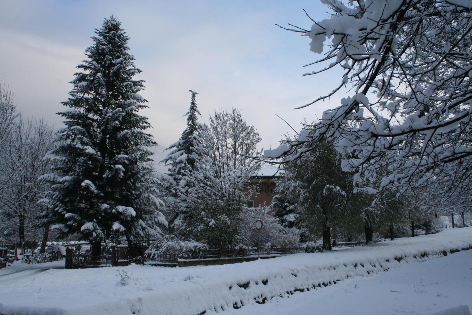 Garden House - Hotel Sport Levico Terme Exterior foto